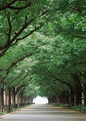 札幌でカウンセリングを受けるならお勧めの施設