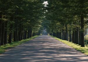 東京のメンタルクリニックを探したい
