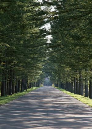 うつ病の治療を北九州市で受ける